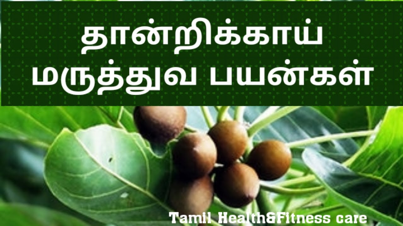 Tamilar Maruthuvam Health Thandri Herbal Medicinal Benefits