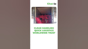 Why the World Loves Onions from India | Khet Se Exports
