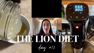 31 Day LION DIET Challenge | Day 15 Vlog & Encouragement