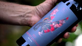 Winemaker Notes | Kanpai Wines Hi No Tori Cabernet Sauvignon