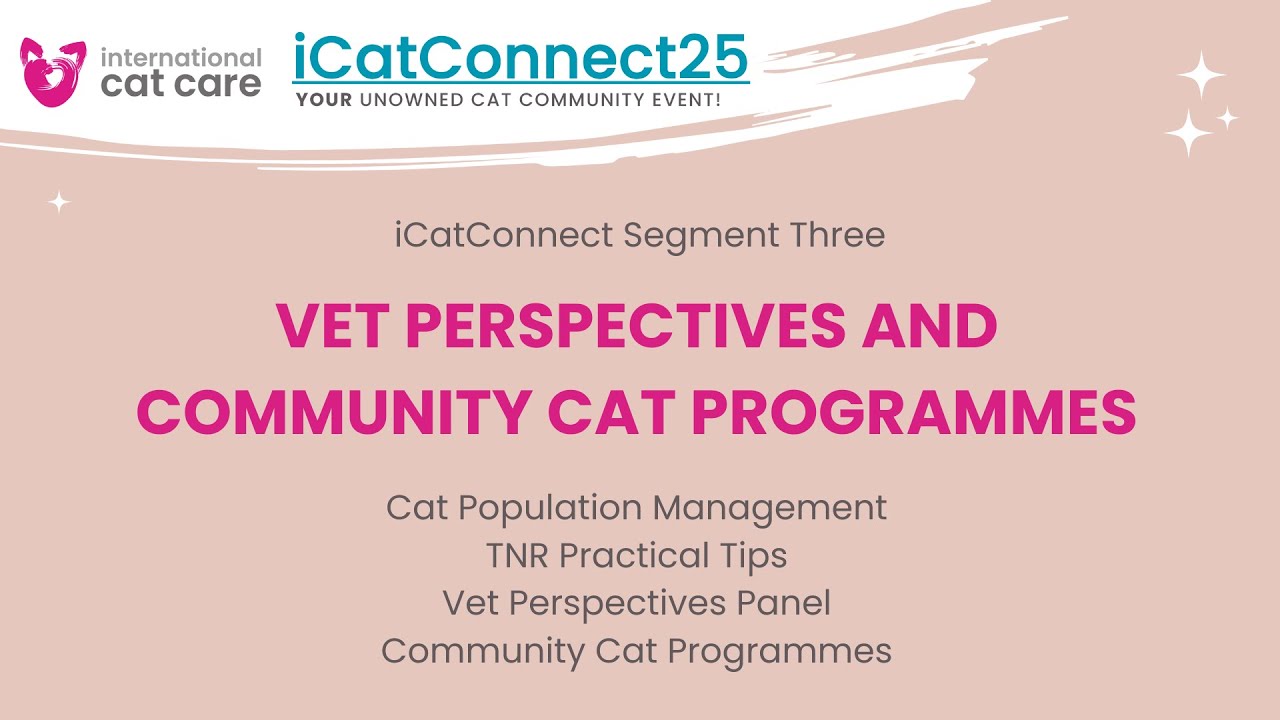 iCatConnect 2025 Section 3: Vet Perspectives and Community Cat Programmes