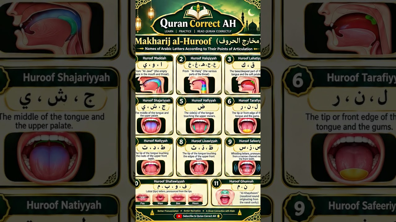 Master the Makhaarij of Arabic Letters.InnahLearn exactly where each Arabic letter