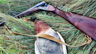 видео: Охота в Сибири осенью. Настрелял уток и лысух. Охота с двустволкой. #охотанаутку #dkhunter картинка: Охота в Сибири осенью. Настрелял уток и лысух. Охота с двустволкой. #охотанаутку #dkhunter
