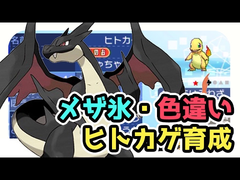 リザードン 育成論 サンムーン 【USUM】リザードンの出現場所と種族値&覚える技【ポケモンウルトラサンムーン】