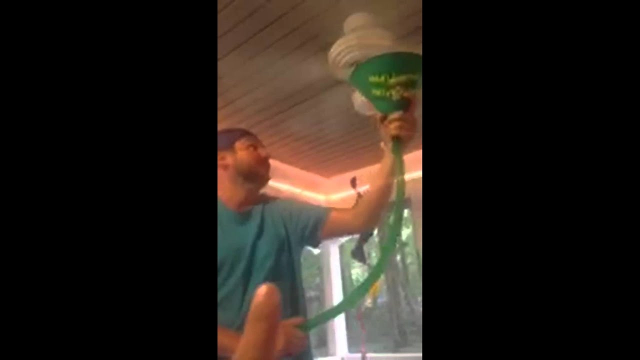 Beer Bong Challenge YouTube