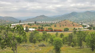 Trains Traversing the Tehachapi Loop - 2024