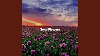 Sumptuous Moods for Energetic Wishes
