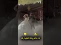 فزت بيج اغاني تيك توك