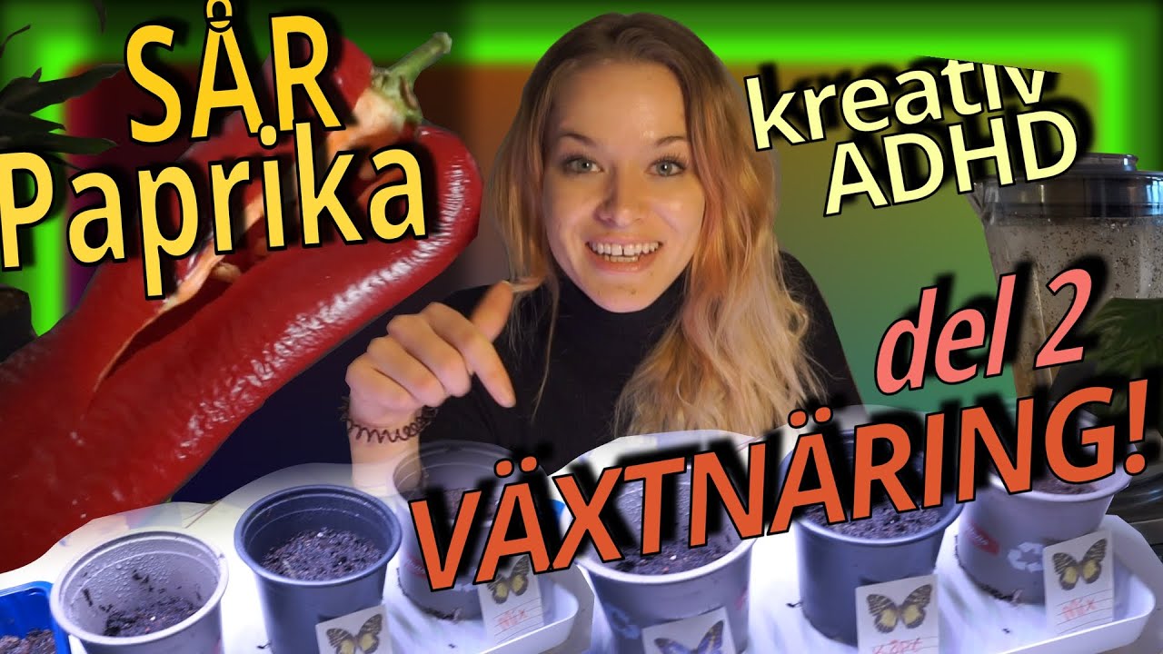 sår Paprikafröer + växtnärings experiment - tips på skötsel