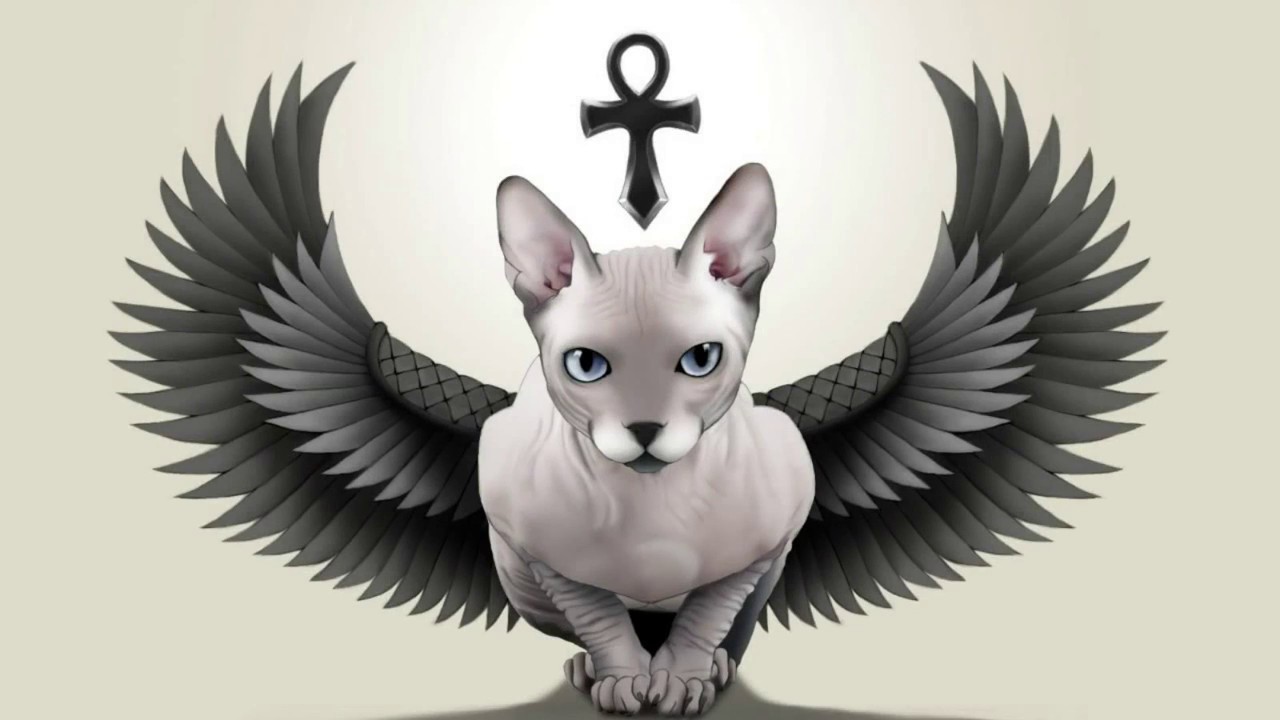 сфинкс мифический. сфинкс с крыльями. полуптица полулев. сфинкс с крыльями. канадский сфинкс.