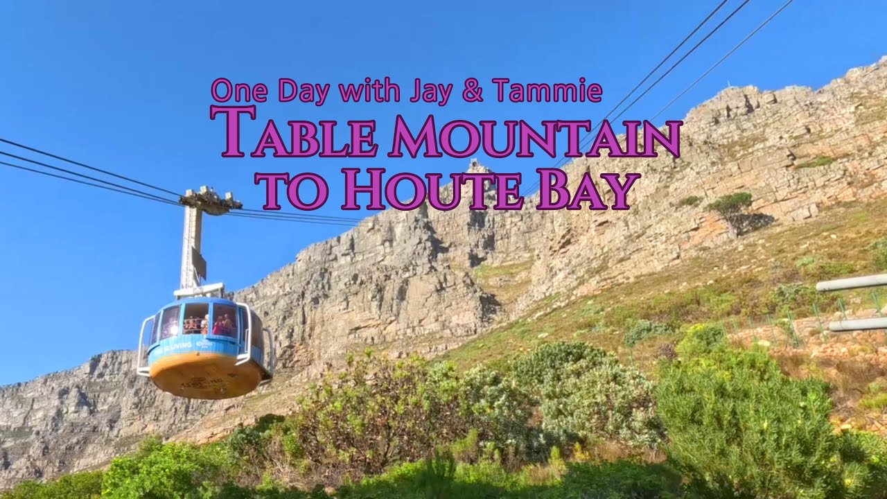 One Day in Cape Town Hop-on-Hop-off Bus Trip around and to Table Mountain