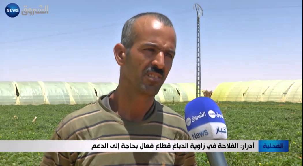 أدرار: الفلاحة في زاوية الدباغ قطاع فعال بحاجة لى الدعم