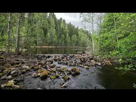 Автобусный тур в Карелию. День первый.