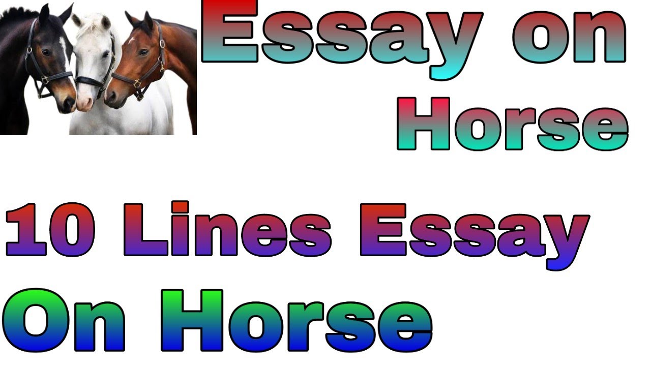 essay on horse race in english