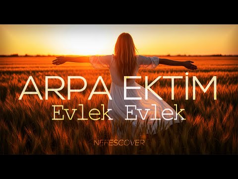 Arpa Ektim Evlek Evlek | Nefes Cover (High Quality Hi-Fi Anatolian Rock Cover)