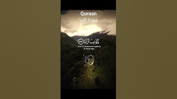 عبد الرحمن مسعد - سورة النبأ - راحة نفسية - قرآن كريم
