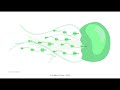 Gradient Flow Snapshot #70: Cloud Strategy Survey; Feature Stores Unpacked; FTC on Algorithmic Harms