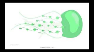 Gradient Flow Snapshot #70: Cloud Strategy Survey; Feature Stores Unpacked; FTC on Algorithmic Harms