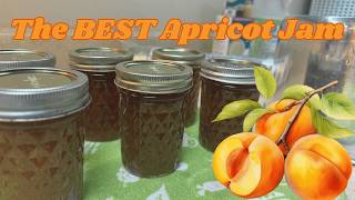 🍑 Apricot Jam From Frozen Fruit | Safe Tested & Absolutely Delicious!