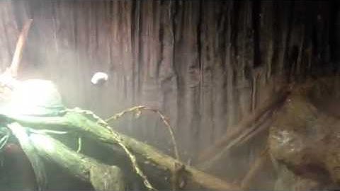 DIY Repti Fogger- Raise the Humidity in your terrarium