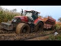 Case IH 300 Optum Sits Totally Stuck in The Muddy Field | Maize / Corn Chopping | Häckseln 2017