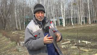 картинка: Зеленый сад фильм № 365-366 