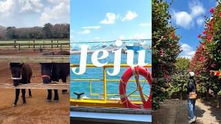 Vlogㅣ제주 올패스와 제주 화폐 탐나는 전을 100% 활용하여 실속있게 즐긴 제주 여행ㅣ구글맵첨부 screenshot 1