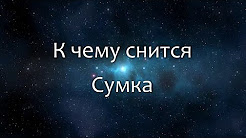 К чему снится Сумка (Сонник, Толкование снов)