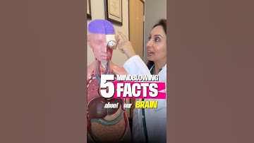 🧠 The Shocking Gut-Brain Connection Nobody Talks About #shorts #guthealth