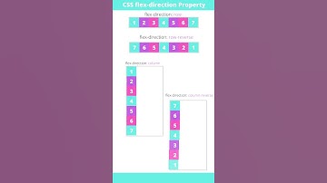 CSS Flexbox | Flex Direction Property #shorts