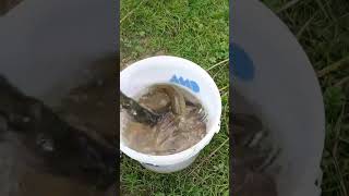 рыбалка, рыбалка летом, fishing, рыбалка на поплавок, рыбалка на спиннинг,