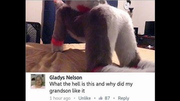 Shitpost Status Compilation V70