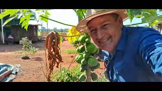 tur pela. fazenda Santa Bárbara em Rondônia