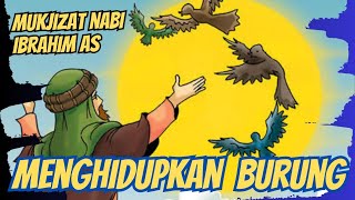 Kisah Nabi Ibrahim Menghidupkan Burung Yang Sudah Mati | Mukjizat Nabi Ibrahim AS