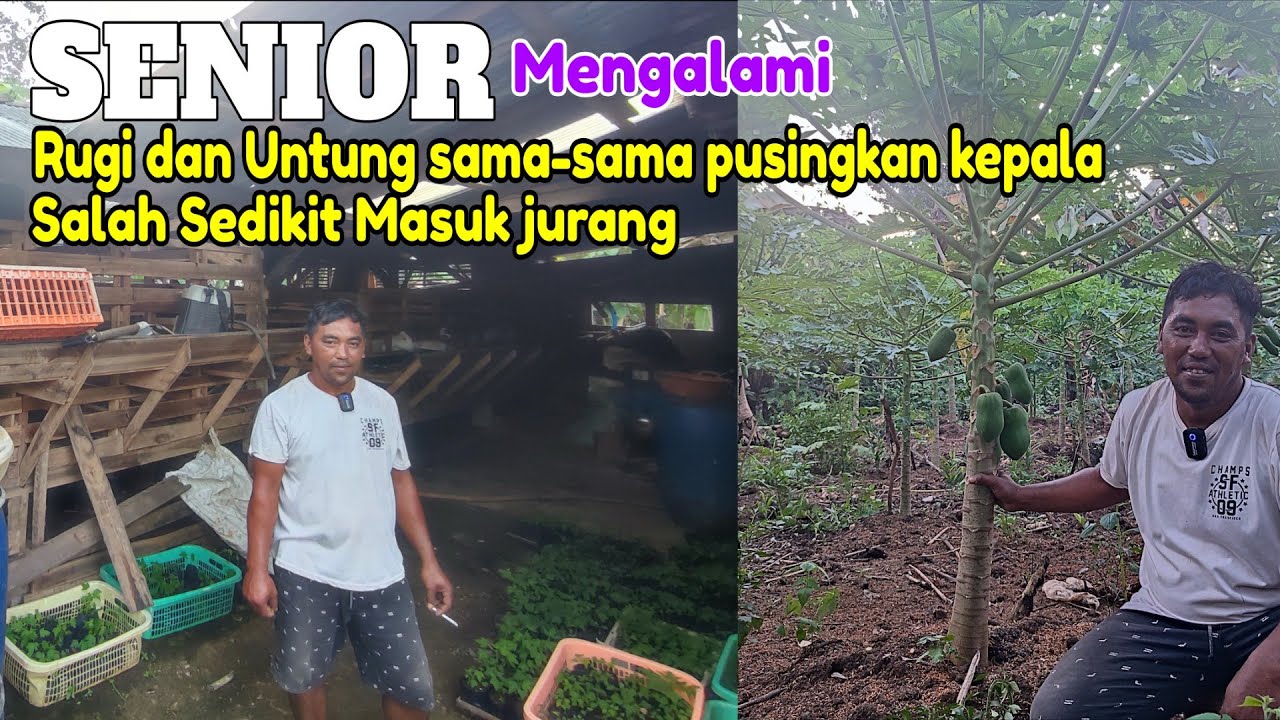 senior-top-hasilnya-lebih-banyak-yg-10-modal-dingin-daripada-100-uang