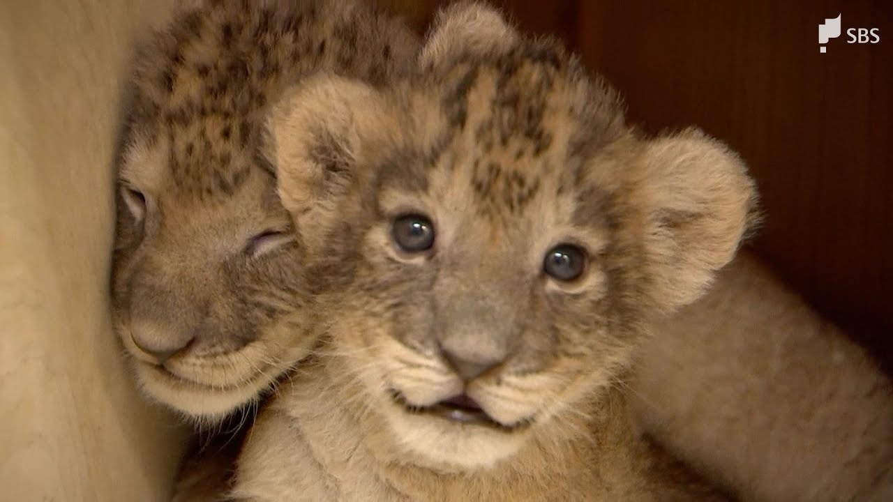 You're lucky if you can see their paw pads!