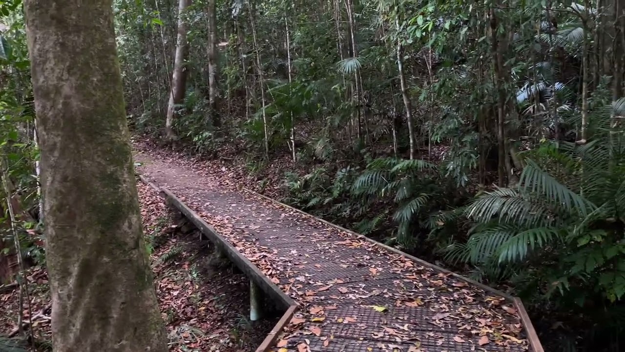 Lake Eacham panorama