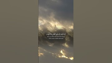 #تلاوة_خاشعة #تلاوه #راحة_نفسية #تيك_توك #لايك #تلاوات #تيك_توك #قران #ترند