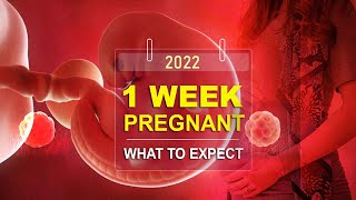 1 Week Pregnant - What To Expect Your 1St Week Of Pregnancy? 