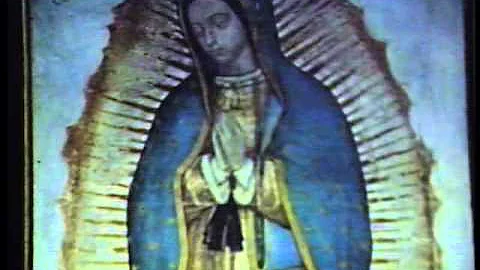 St. Louis Dr. Philip Callahan