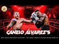The Defense vs Offense System That Won Canelo Fights