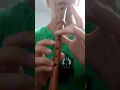 Herr mannelig Flute Cover