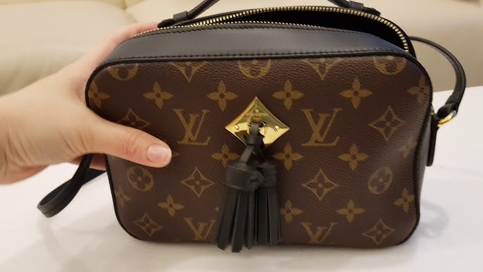 Louis Vuitton Santa Monica & Saintonge Bag Comparison & Mini Review 