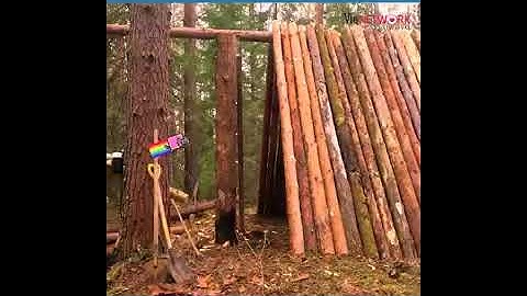 Sinh Tồn - chàng trai xây biệt thự gỗ trong rừng