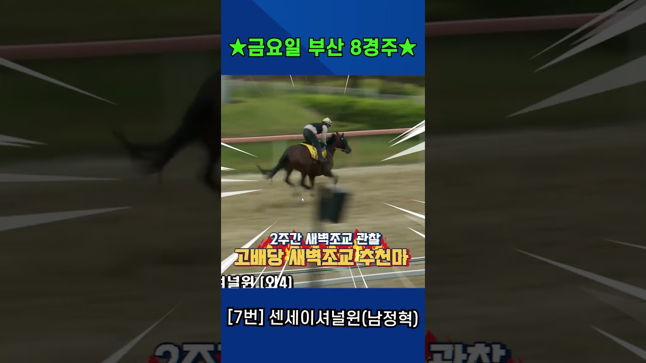 5월15일 금요일 부산 8경주!! 2주간 훈련보인 강백호의 새벽조교 쏘스마!!