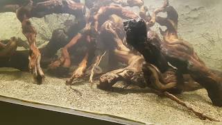 20180305 181901