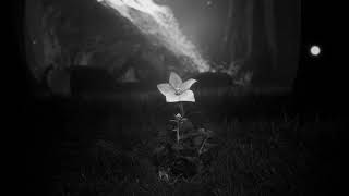 Misha - goodbye forever (Official Instrumental)