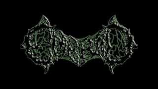 Embryo - Zyggot Shot