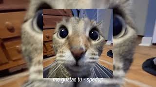 me gustas tu - sped up