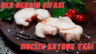 Kuyruk Yağinin Faydalari Kuyruk Yaği Nelere İyi̇ Geli̇r Kuyruk Yaği Zararlari Kuyruk Yaği Kremi̇
